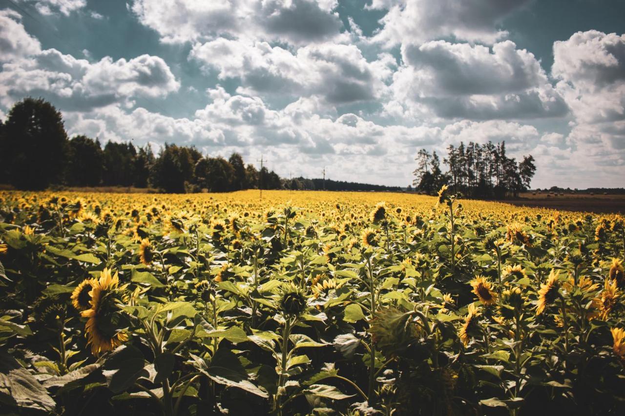 Lesna 21 Dom Poludnie Przy Puszcza Bialowieska Luka Exterior foto