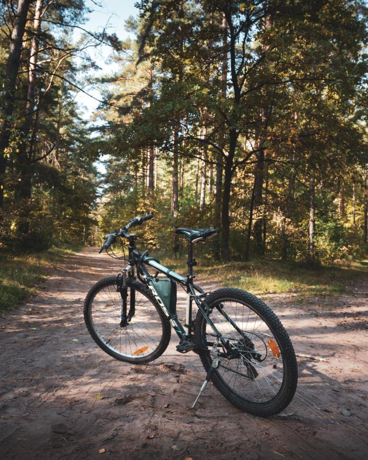 Lesna 21 Dom Poludnie Przy Puszcza Bialowieska Luka Exterior foto