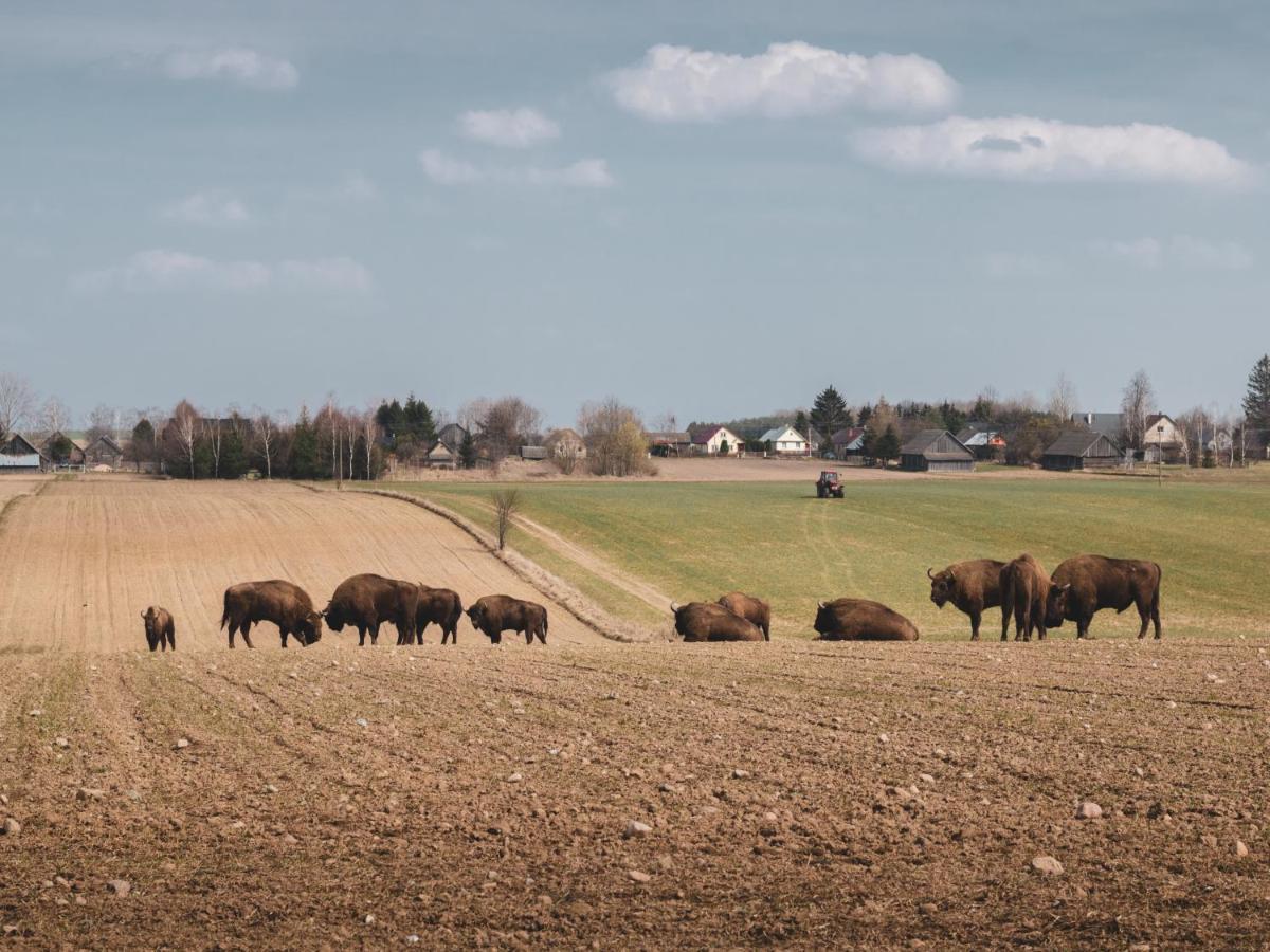 Lesna 21 Dom Poludnie Przy Puszcza Bialowieska Luka Exterior foto