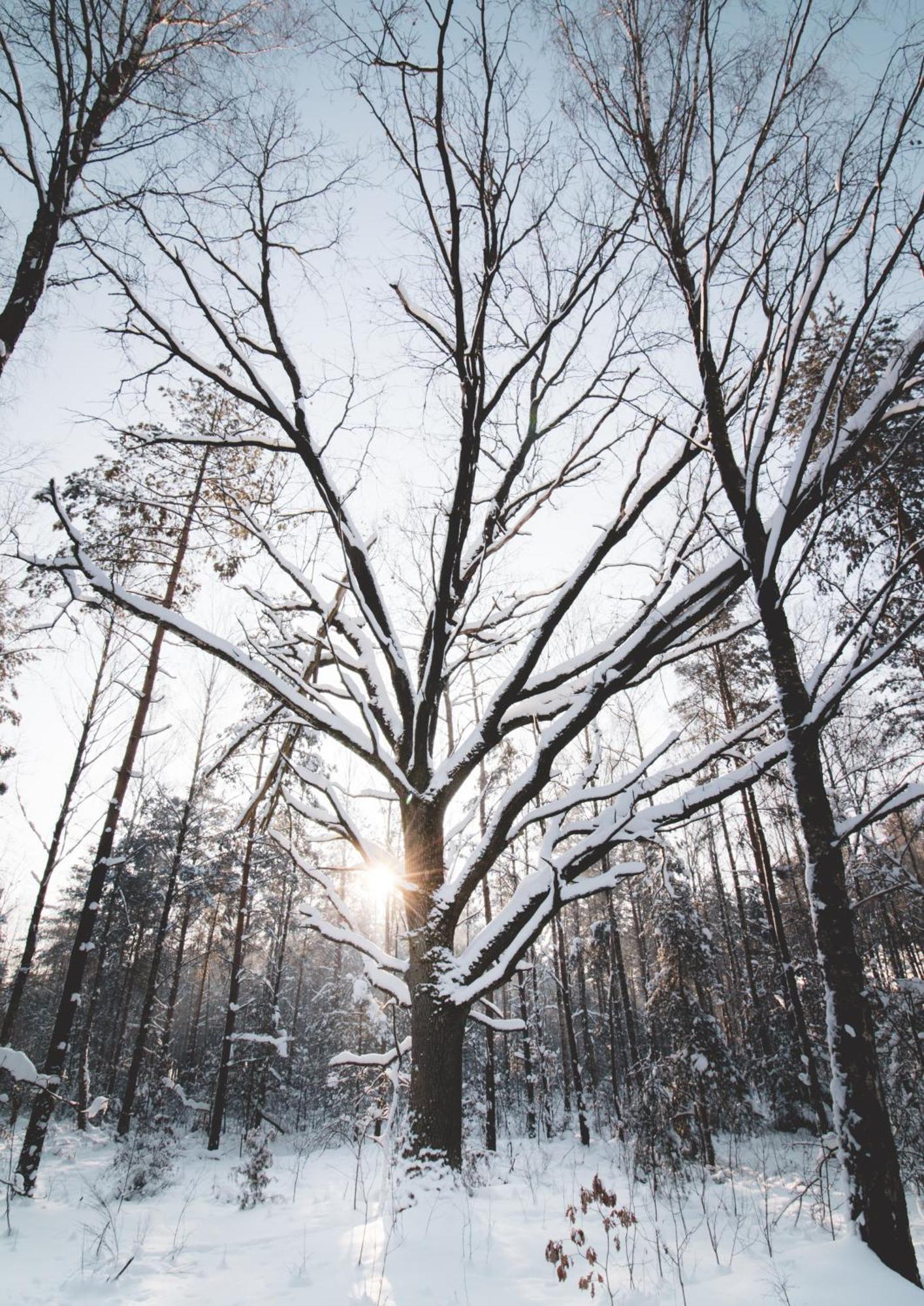 Lesna 21 Dom Poludnie Przy Puszcza Bialowieska Luka Exterior foto